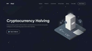 FintechZoom.com crypto halving