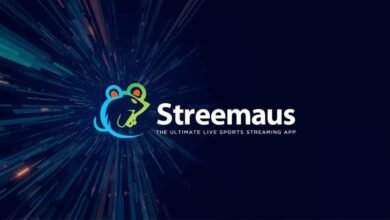 Streemaus