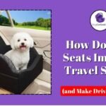 How Dog Car Seats Improve Safety & Drive Comfort