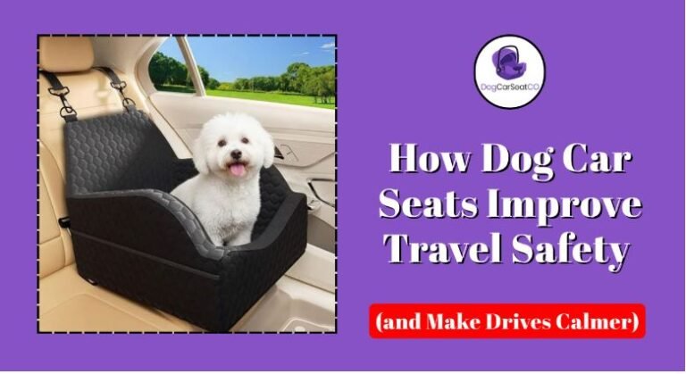 How Dog Car Seats Improve Safety & Drive Comfort