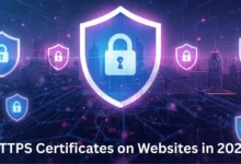 Reason HTTPS Certificates Will Be a Must-have on Websites in 2026