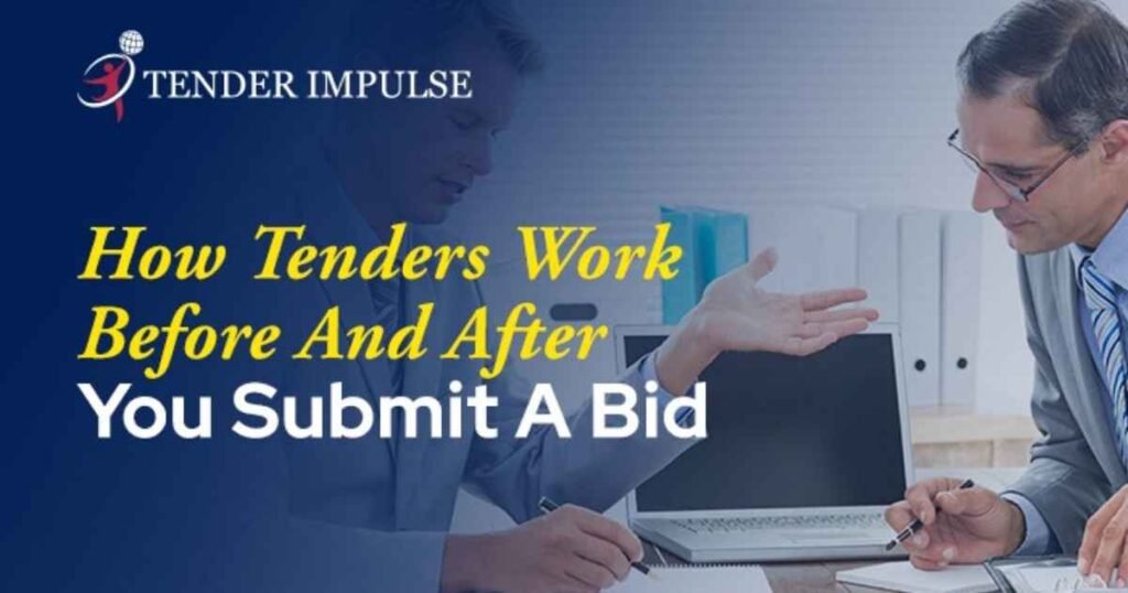How Tenders Work Before and After You Submit a Bid