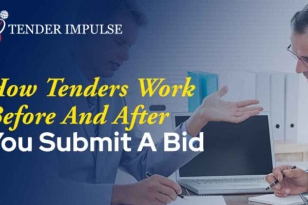 How Tenders Work Before and After You Submit a Bid