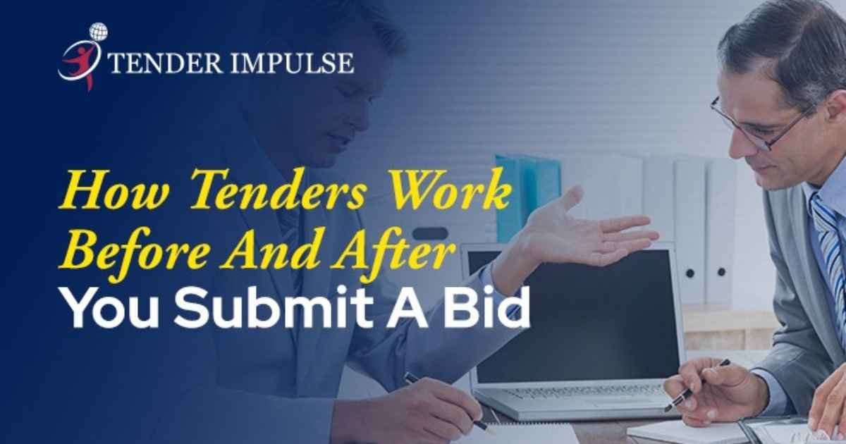How Tenders Work Before and After You Submit a Bid